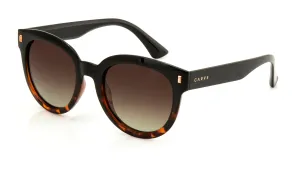 Carve Harpo Sunglasses Gloss Black tort Brown Polarised Carve Harpo Sunglasses Gloss Black tort Brown Polarised