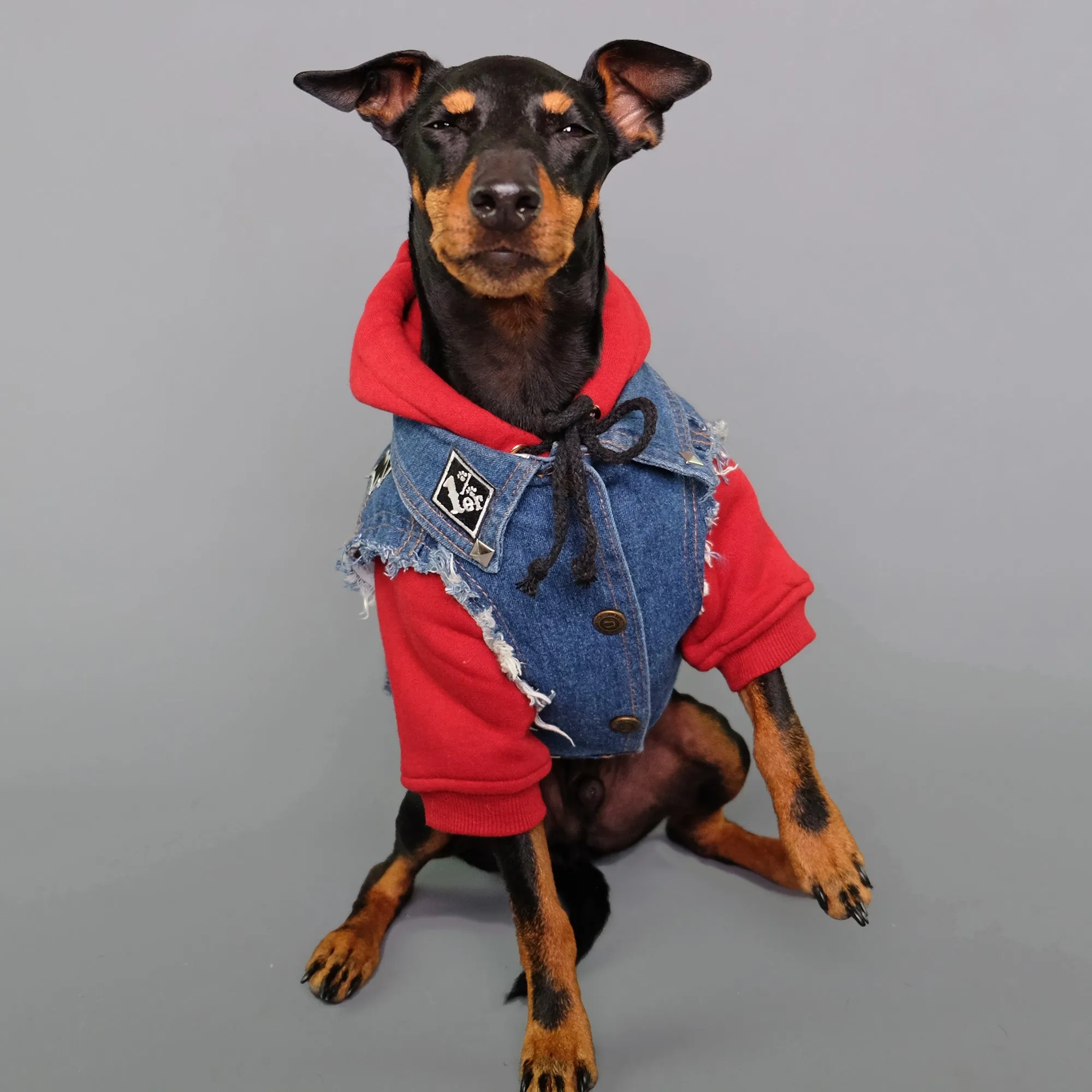 Layer Up! Denim Vest & Hoodie Set