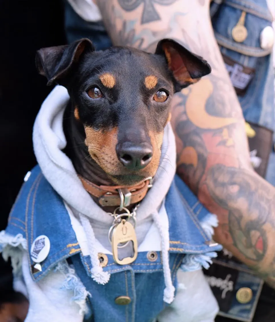 Layer Up! Denim Vest & Hoodie Set