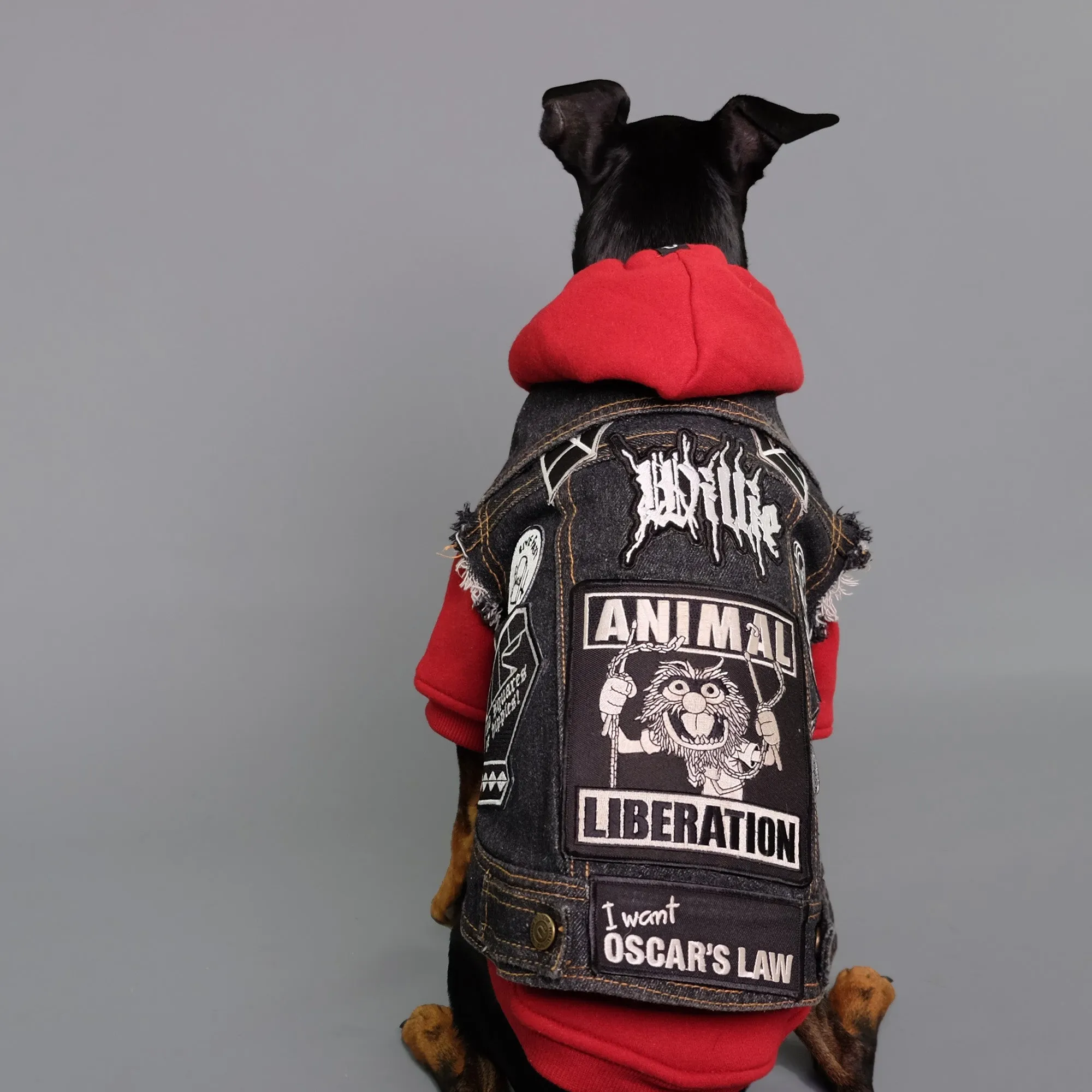 Layer Up! Denim Vest & Hoodie Set