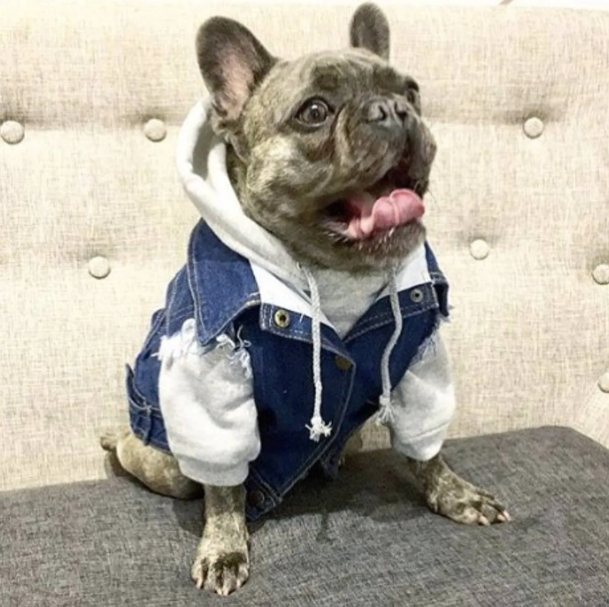 Layer Up! Denim Vest & Hoodie Set