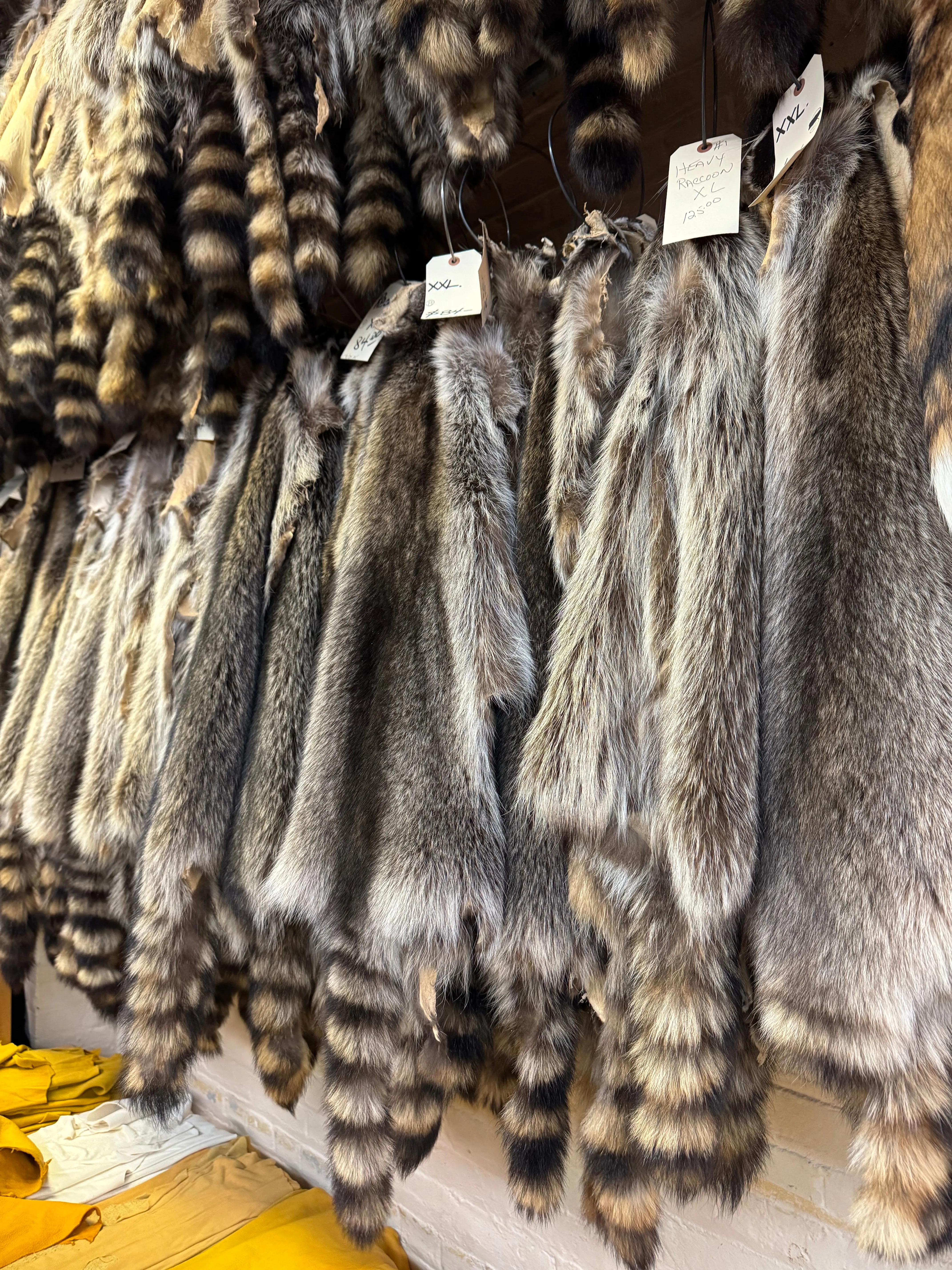Raccoon Fur