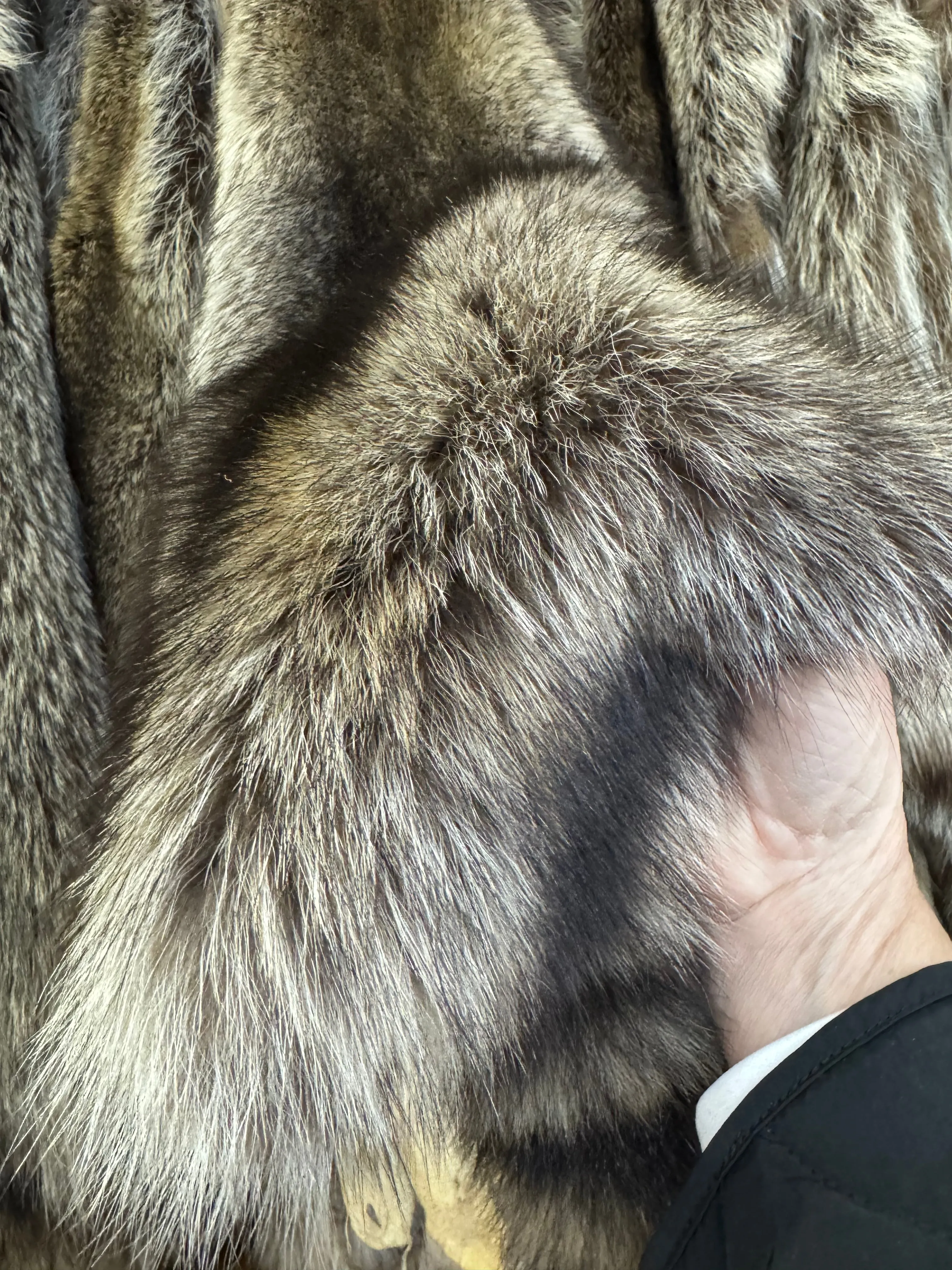 Raccoon Fur