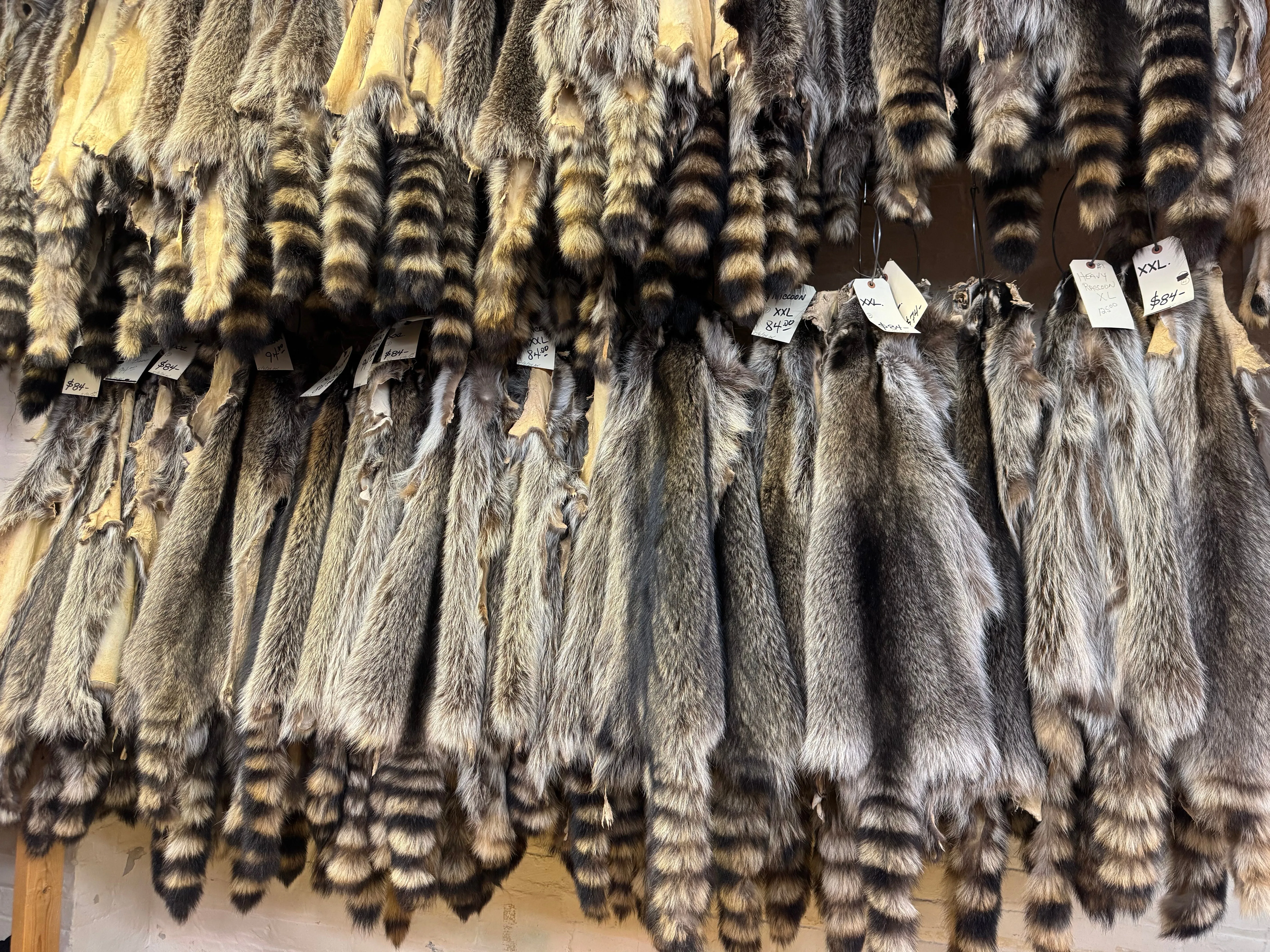 Raccoon Fur
