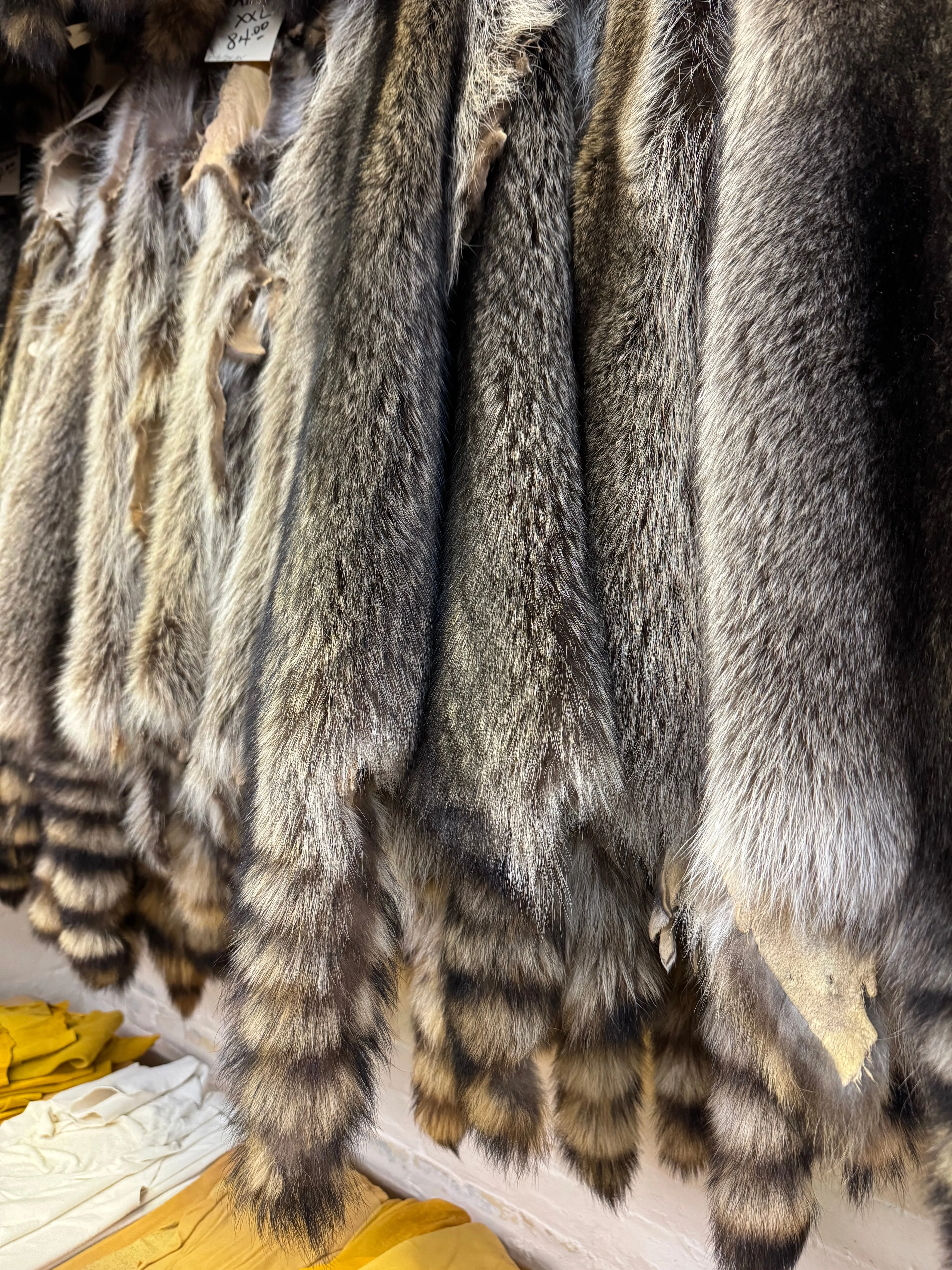 Raccoon Fur