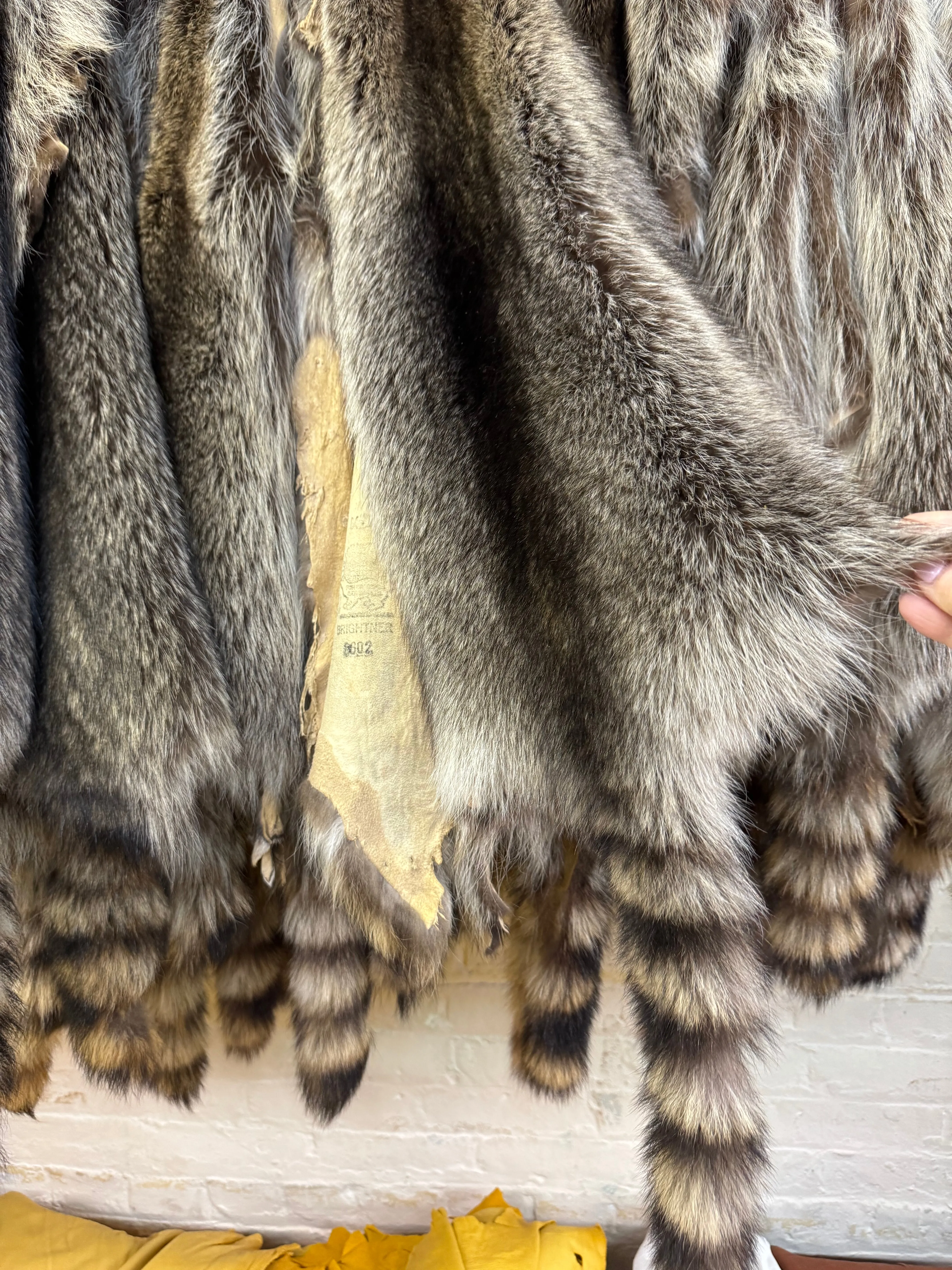 Raccoon Fur