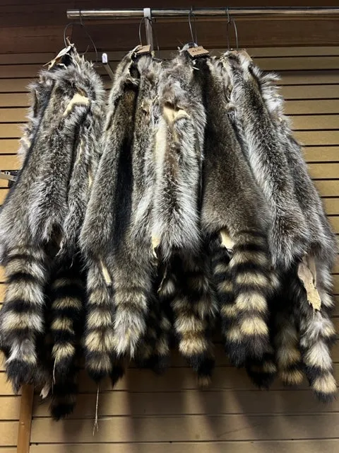 Raccoon Fur