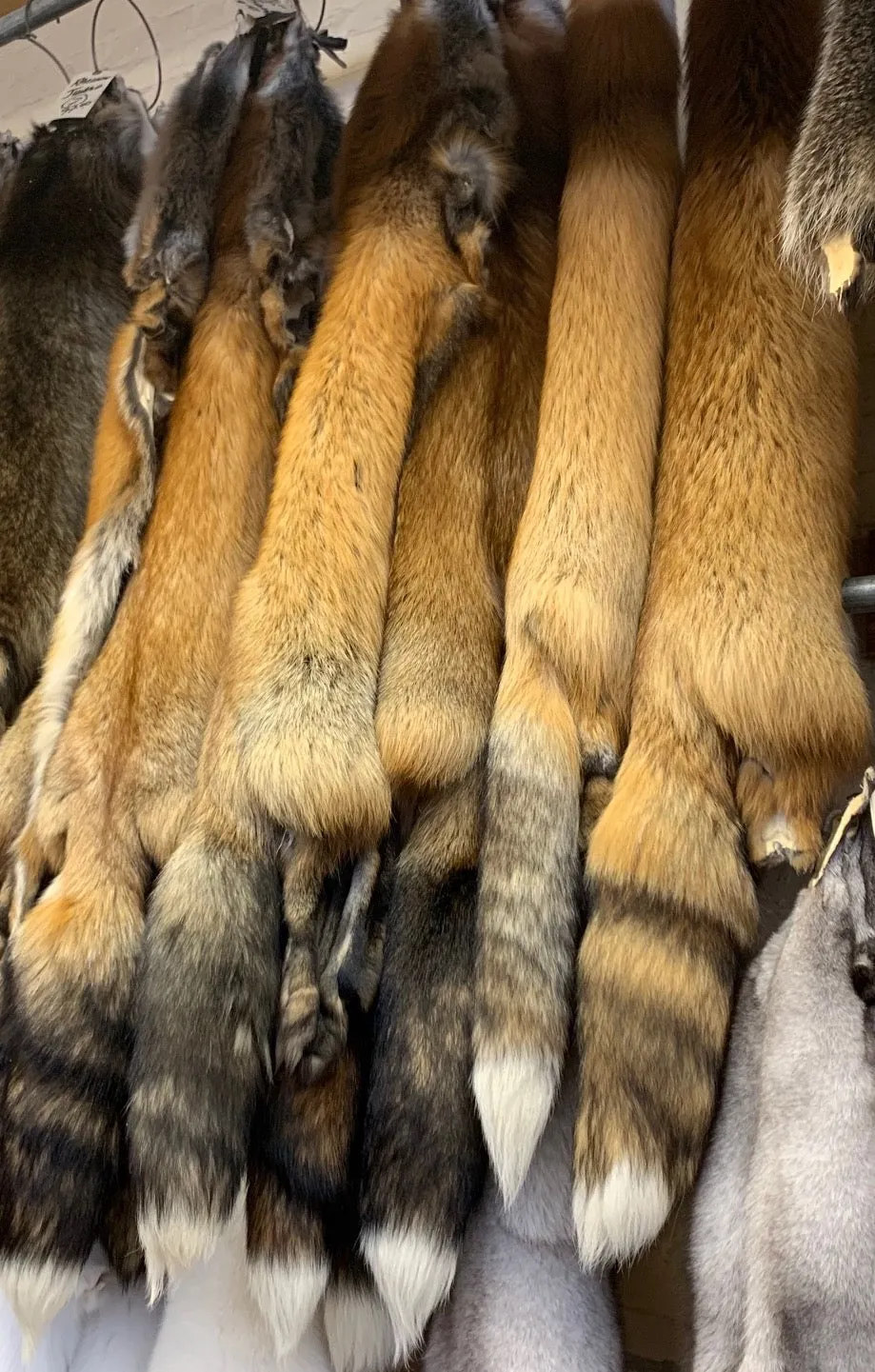 Ranch Red Fox Fur